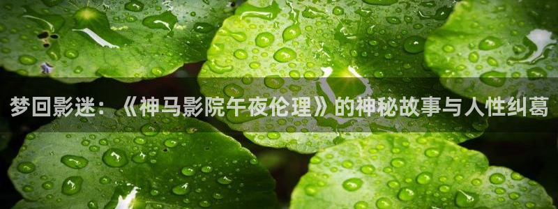 星空无痕mv电影在线观看免费视频