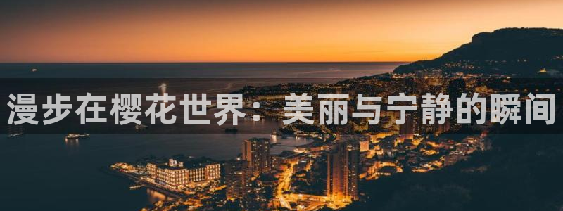 星空 电影 在线观看