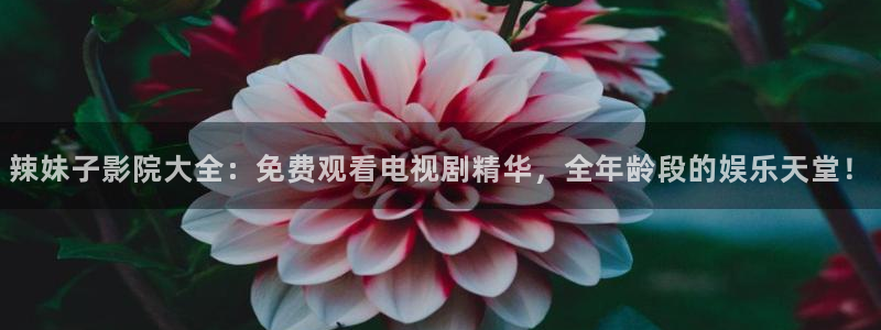西瓜视频影视大全