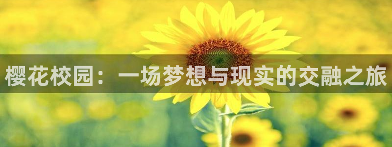 星空电影