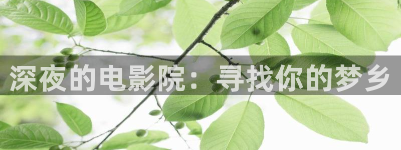 西瓜视频论语