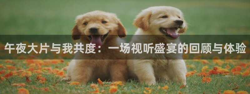 星空无痕mv高清在线播放