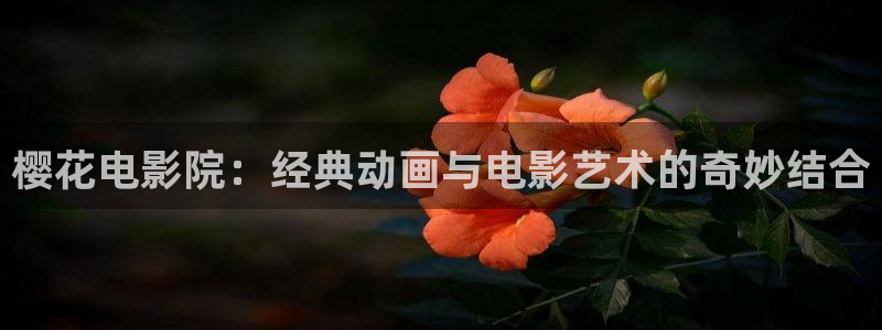 星空电影在线观看播放