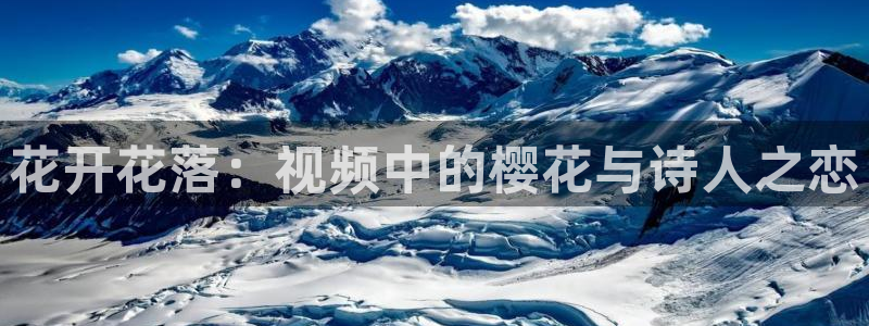 西瓜视频电影电视剧