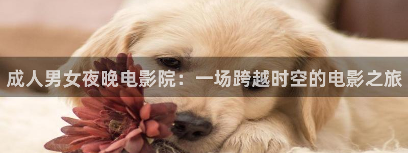 星空影视免费在线播放