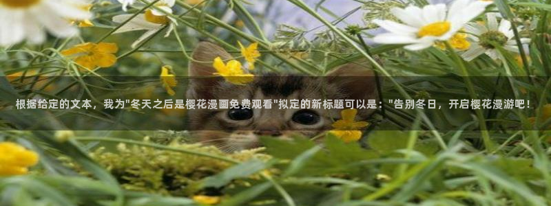 西瓜视频在线观看免费观看电视剧全集