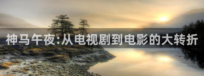 西瓜视频在线观看免费视频