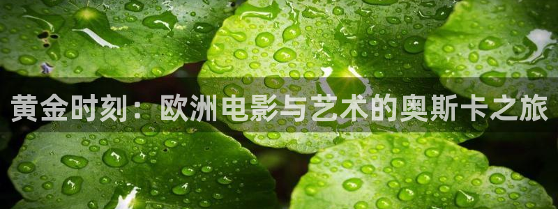 星空动漫网官网在线观看免费