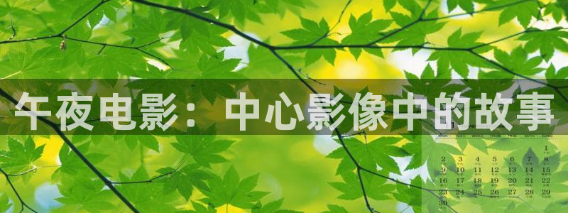 一路朝阳电视剧免费观看西瓜视频