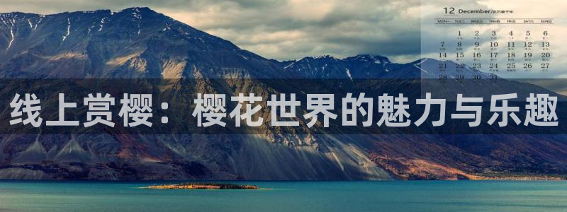 星空电影在线观看免费完整版