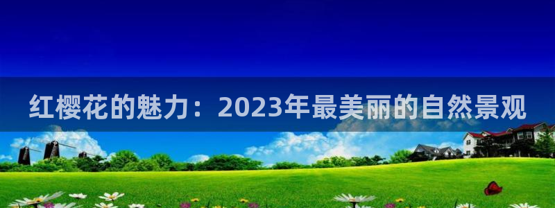星空影视在线观看免费全集