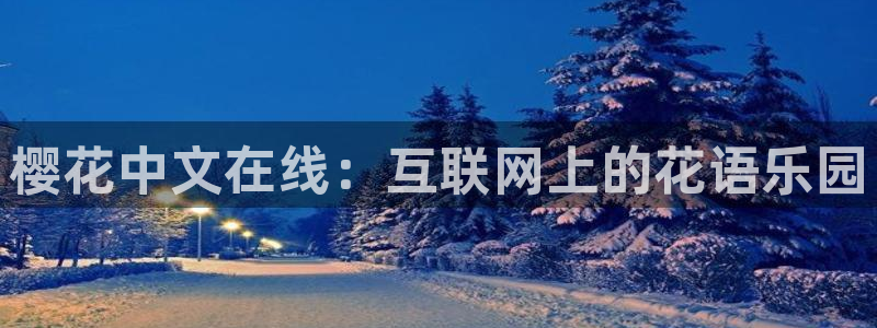 星空无限传媒影院