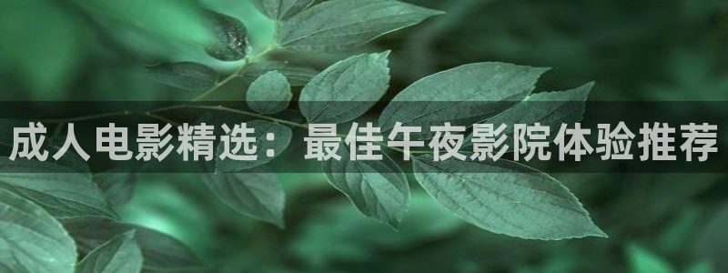 性久久之星空影视