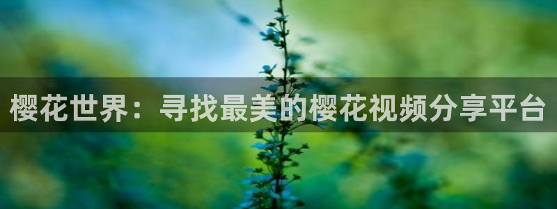 妈妈的朋友西瓜视频