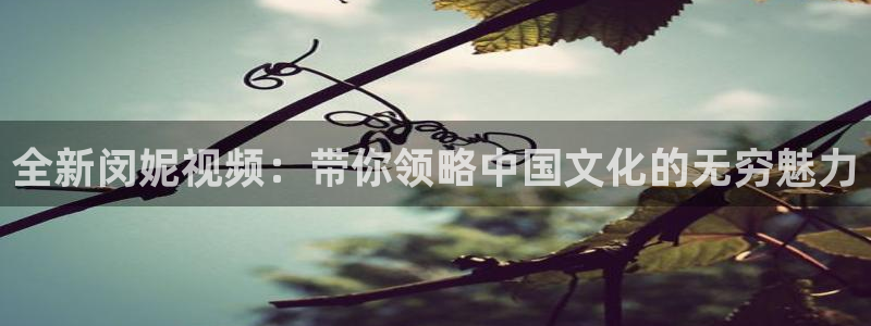 星空影视手机版官网