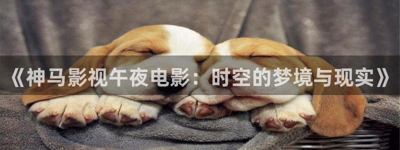 西瓜视频在线手机版在线观看